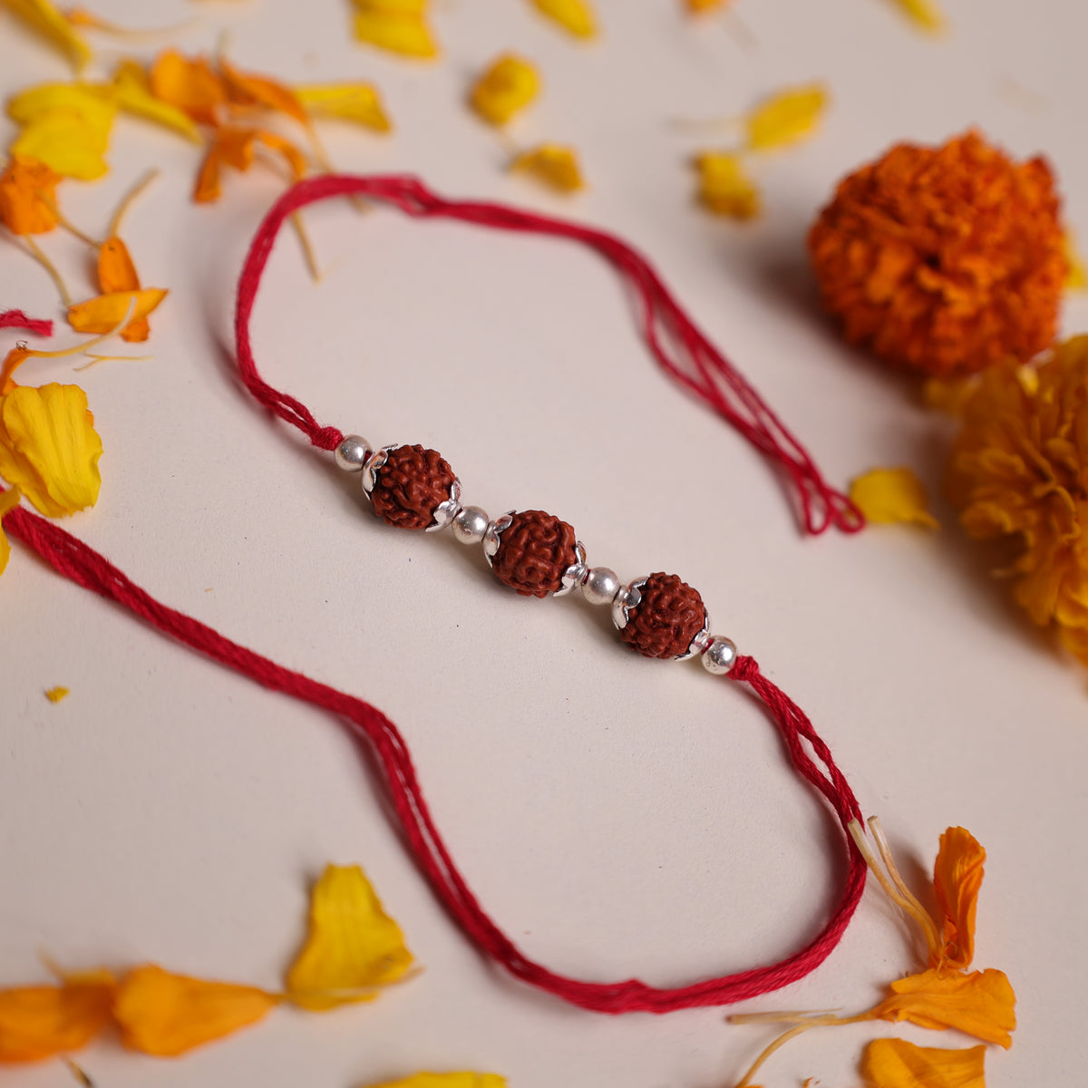 Triple 5 Mukhi Rudraksha Rakhi handcrafted with 925 Sterling Silver spacers and traditional red thread.