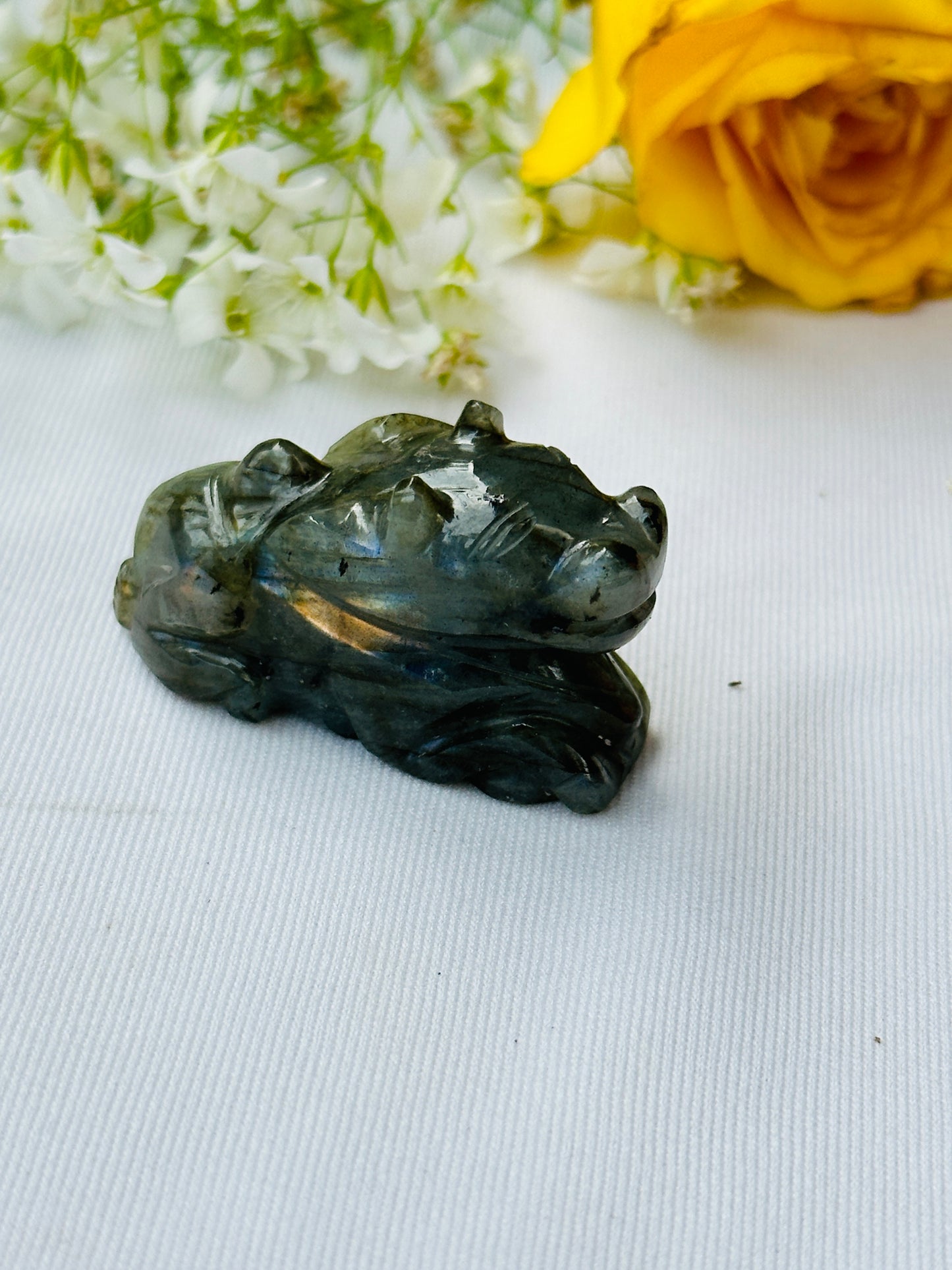 Labradorite Nandi (H-2.5cm, W-4cm) - Abhimantrit
