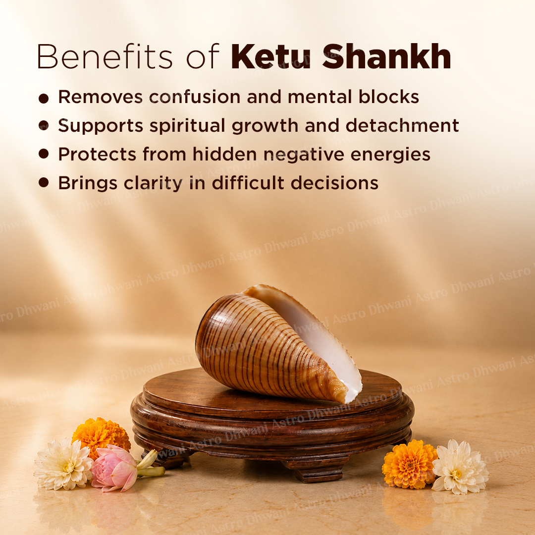 Ketu Shankh For Spiritual Growth Karmic Protection