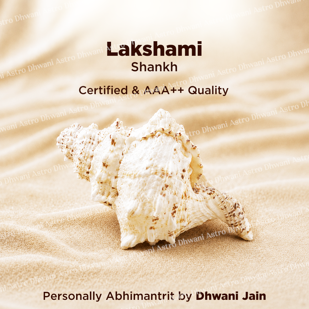 Shell on sand with Lakshami Shankh branding and product details.