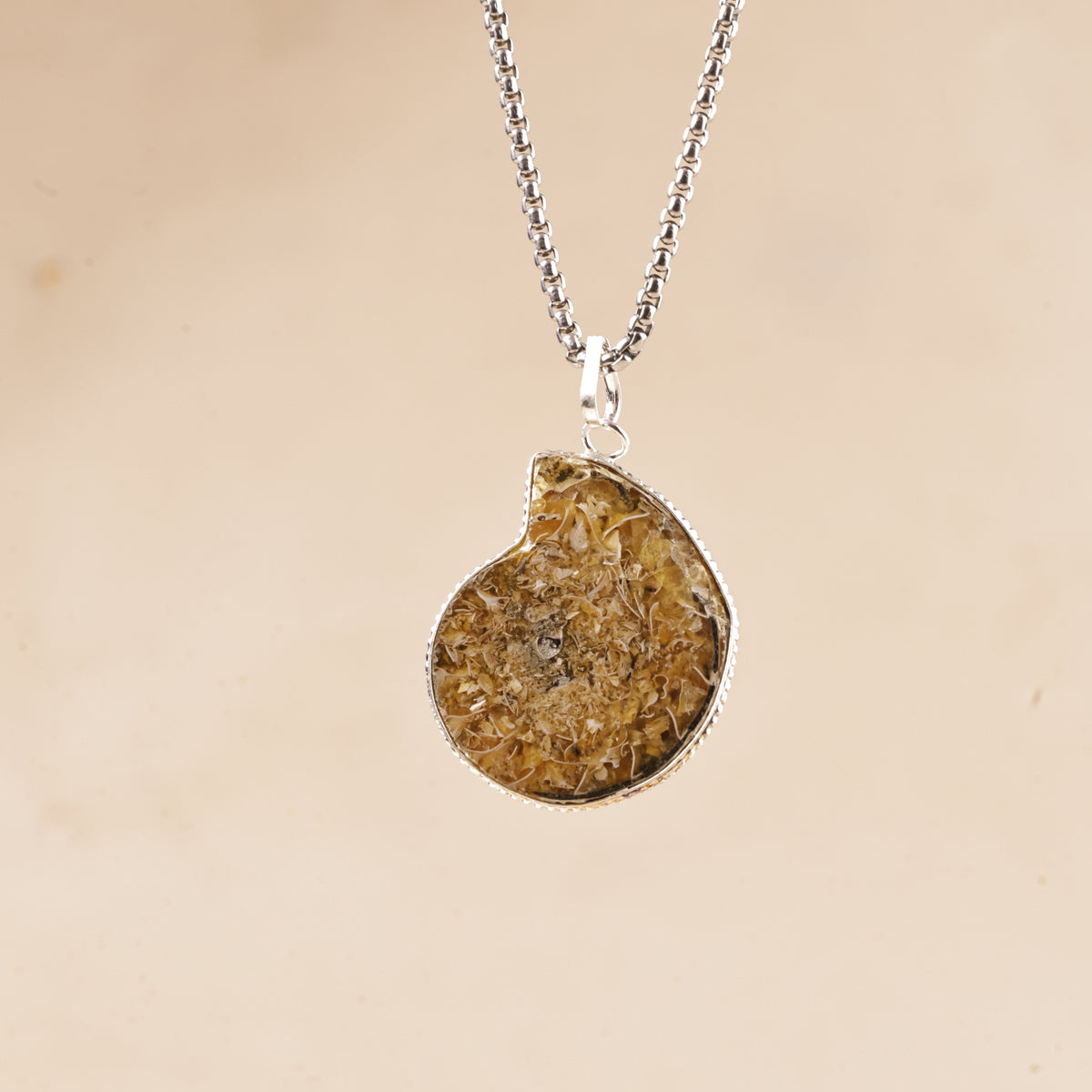 Ammonite Fossil Pendant For Prosperity Protection Spiritual Growth