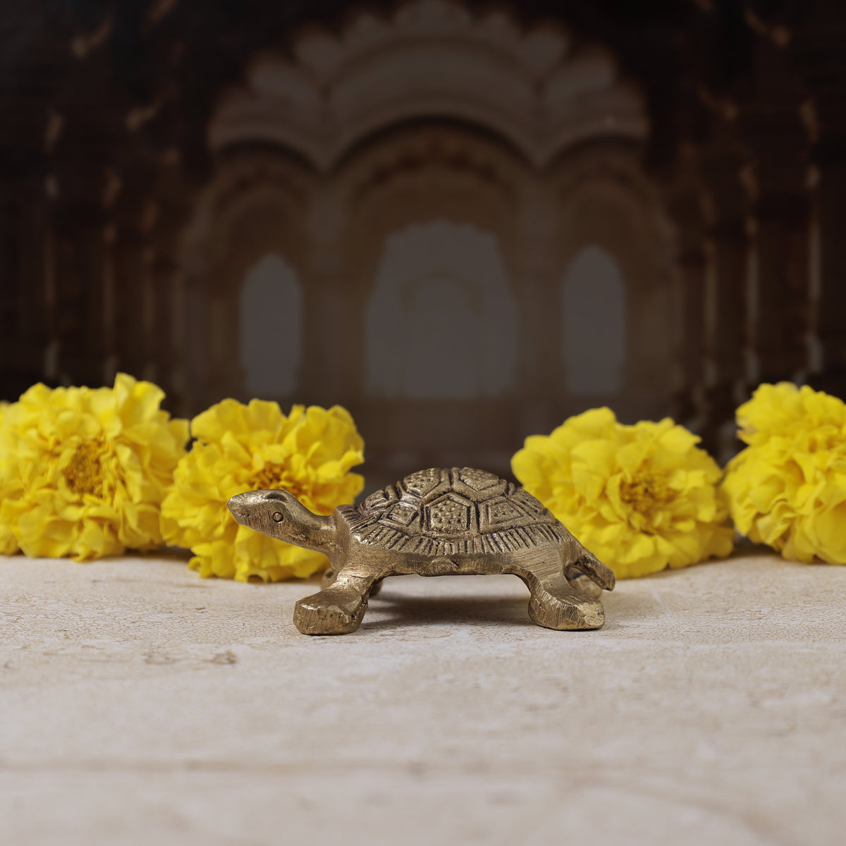 Money Attract Brass Turtle Feng Shui - Abhimantrit & Certified