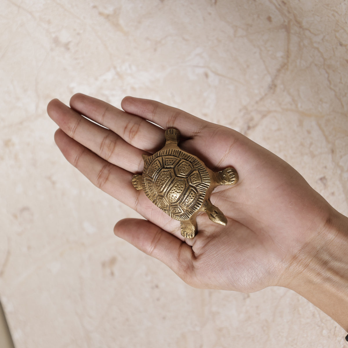 Money Attract Brass Turtle Feng Shui - Abhimantrit & Certified