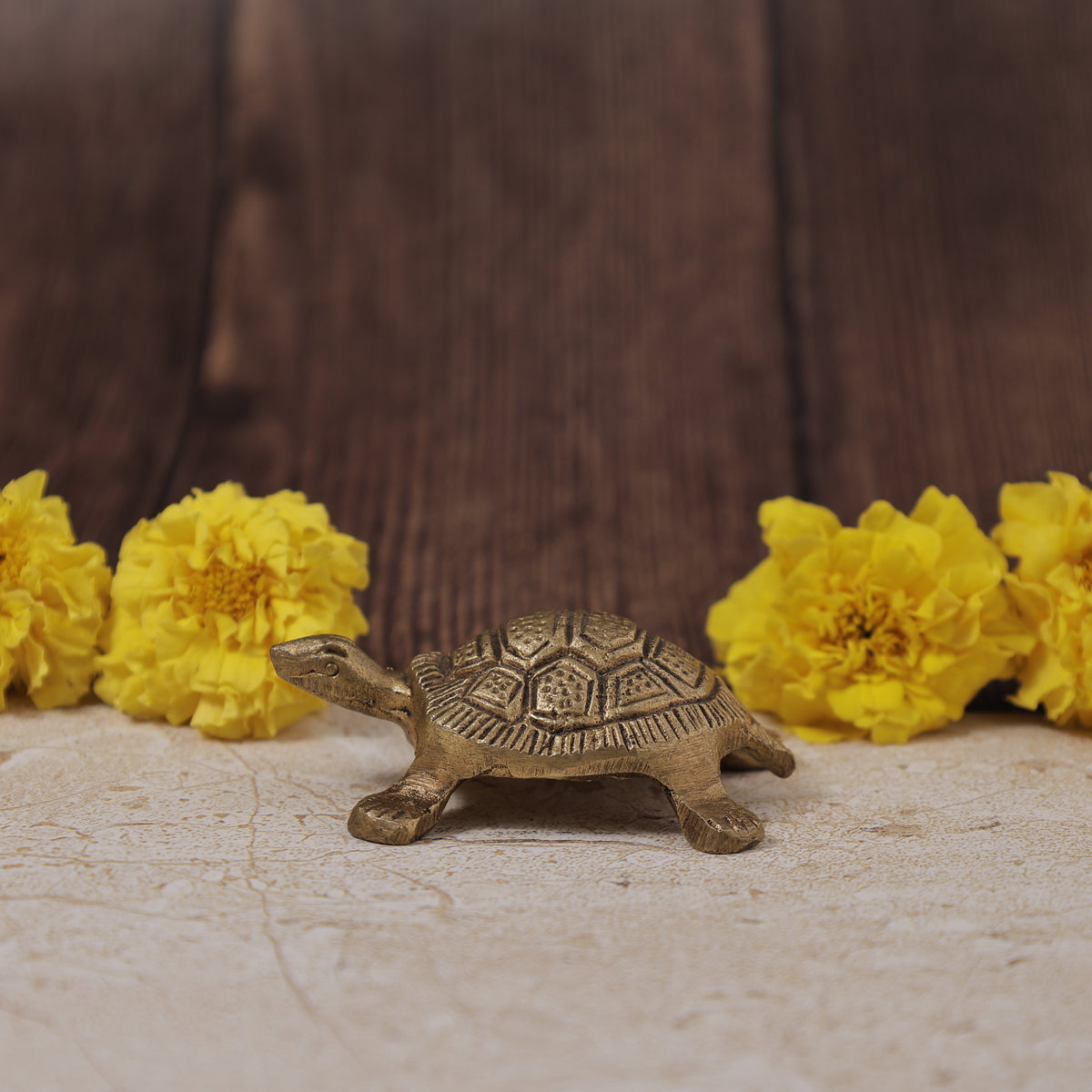 Money Attract Brass Turtle Feng Shui - Abhimantrit & Certified
