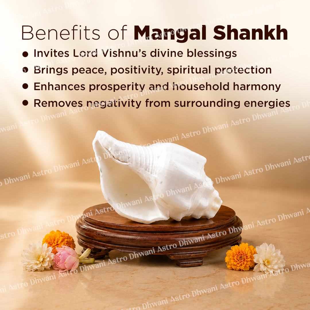 Mangal Shankh for Puja, Vastu & Positive Energy
