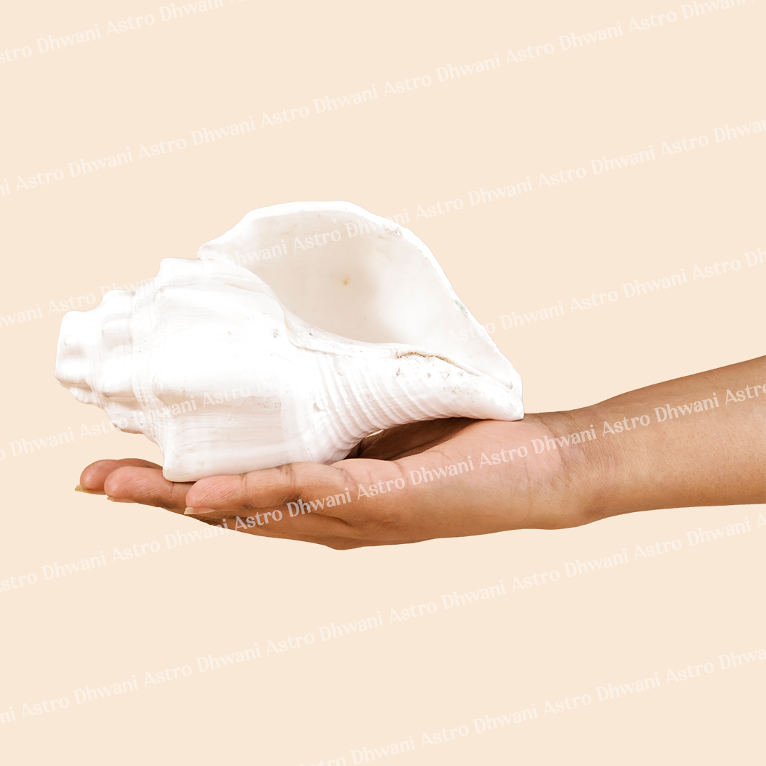 Mangal Shankh for Puja, Vastu & Positive Energy