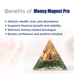 Triangular money magnet with natural elements on a white background and text listing benefits.