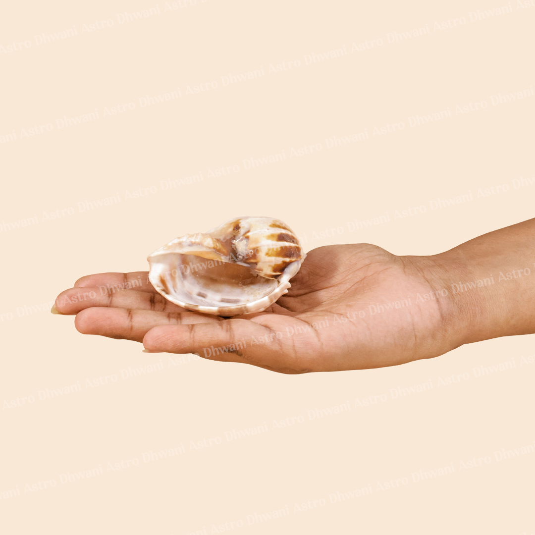Navnidhi Shankh For Wealth Abundance Kuber Blessings