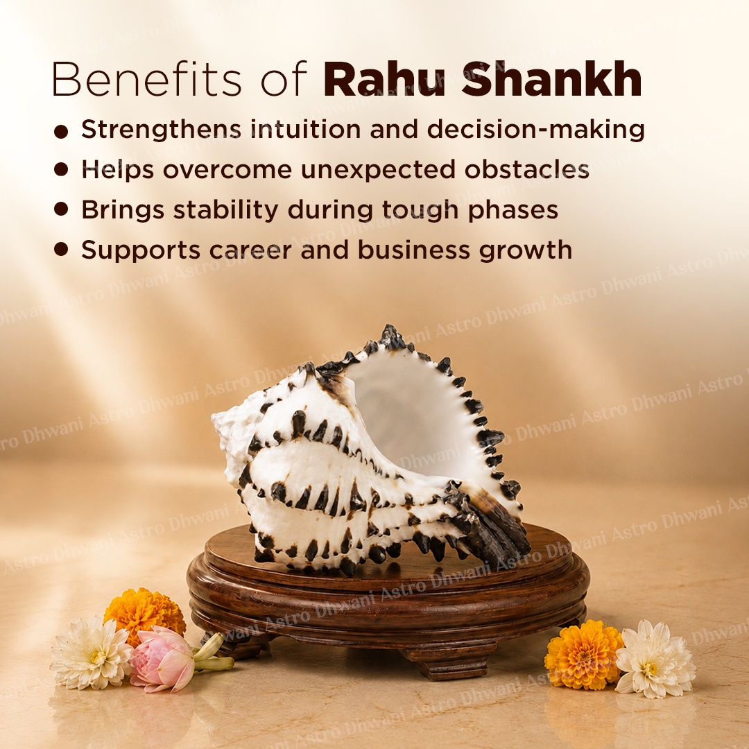 Rahu Shankh For Protection From Negativity Clarity