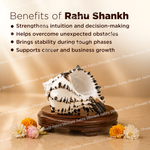 Rahu Shankh shell on a wooden stand with flowers, and text about its benefits.