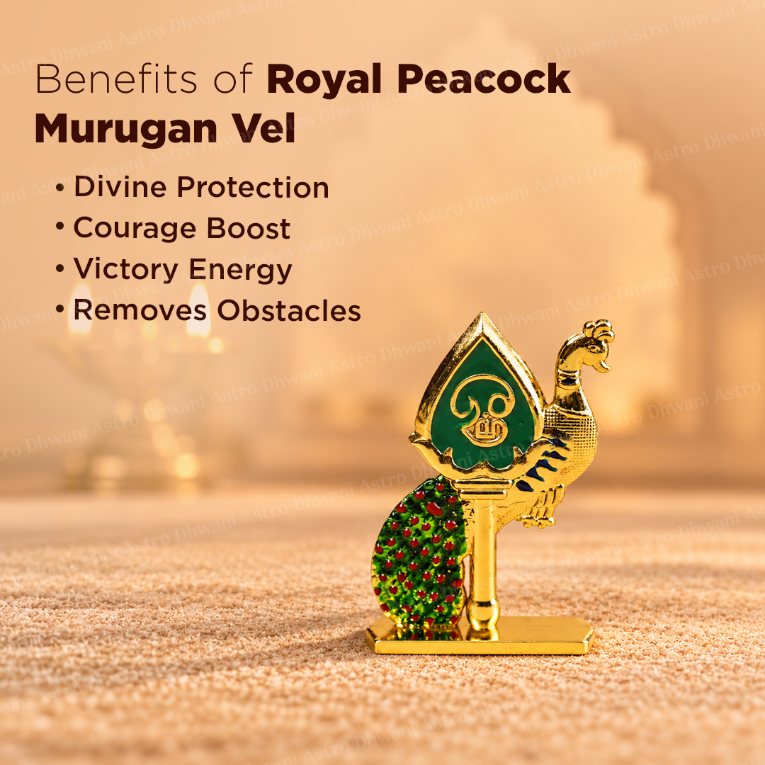 Royal Peacock Murugan Vel