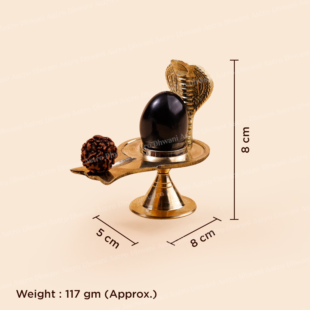 Shaligram Shivling with Brass Jaladhari & Rudraksha | Shiva Puja Set | Sacred Shaligram Stone for Home Temple