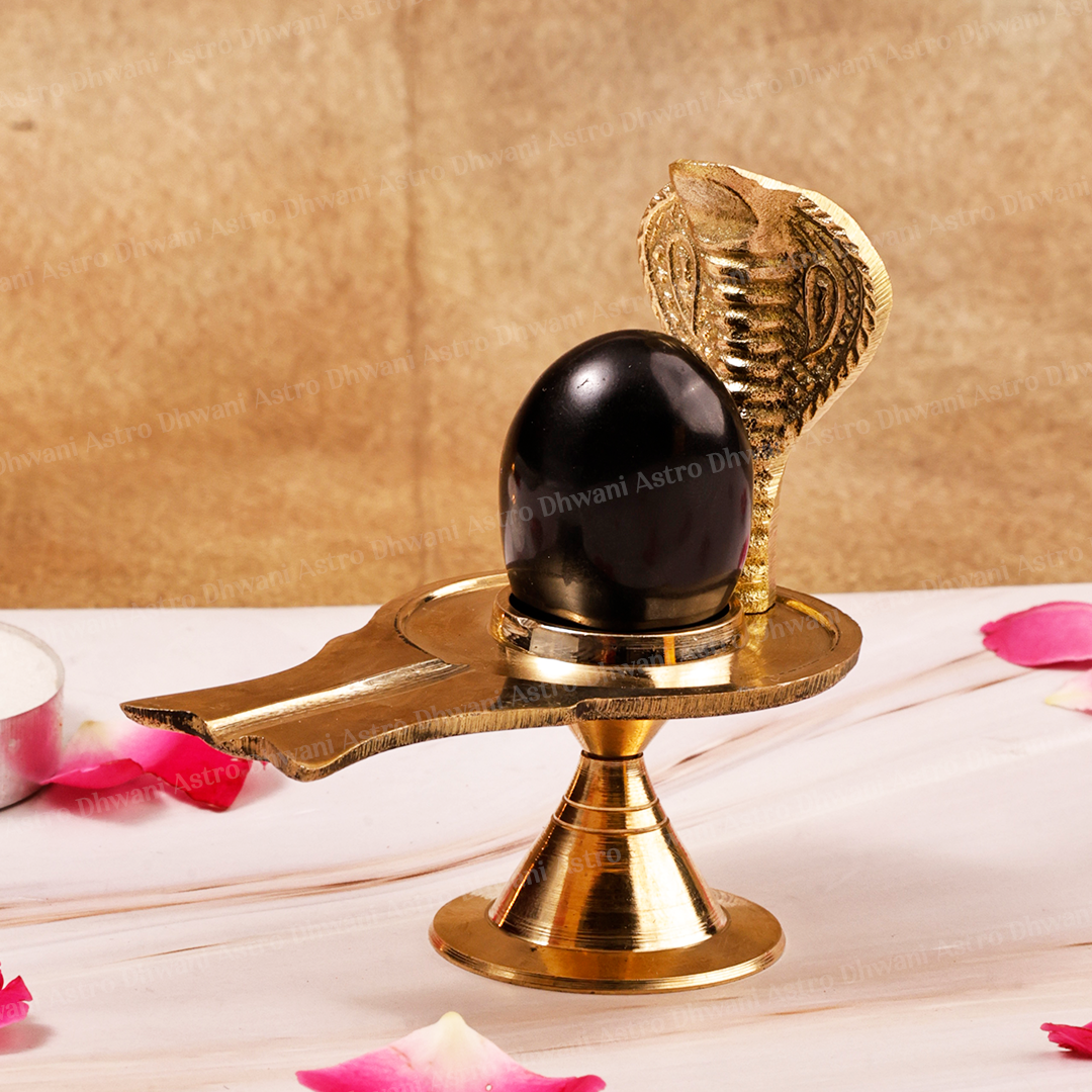 Shaligram Shivling with Brass Jaladhari & Rudraksha | Shiva Puja Set | Sacred Shaligram Stone for Home Temple