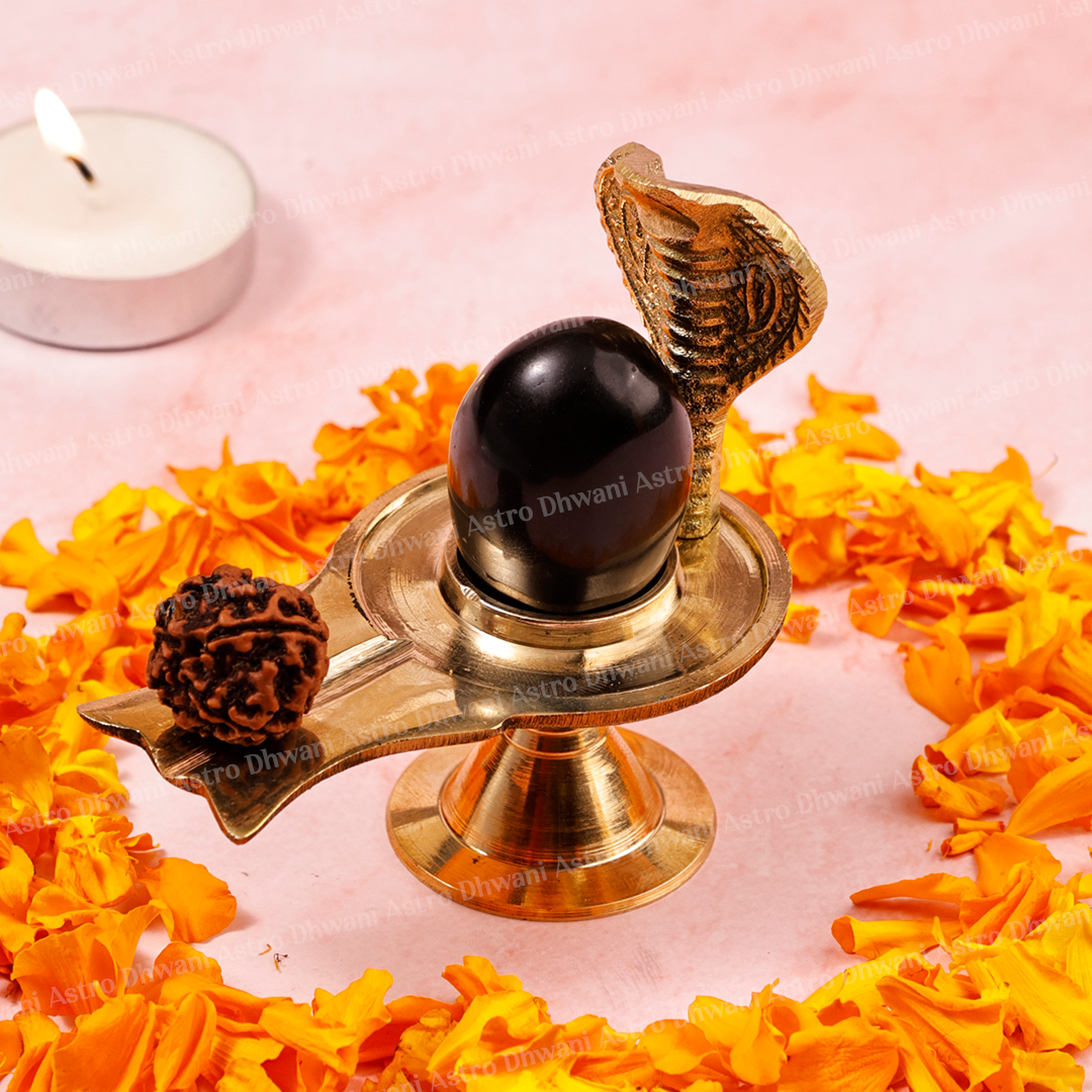 Shaligram Shivling with Brass Jaladhari & Rudraksha | Shiva Puja Set | Sacred Shaligram Stone for Home Temple