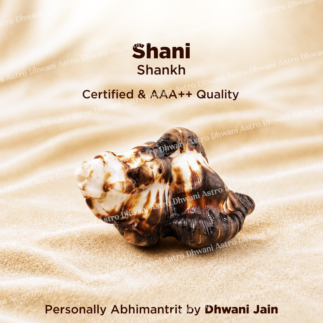 Shell on sand with 'Shani Shankh' text and branding