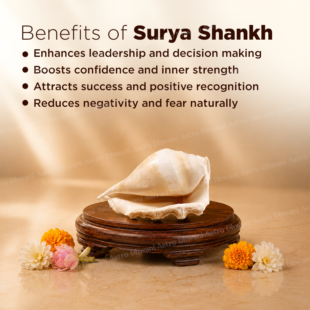 Surya Shankh For Positivity Prosperity Spiritual Energy