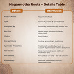 Nagarmotha Roots details table with product information on a decorative background
