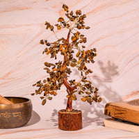 Tiger Eye Tree
