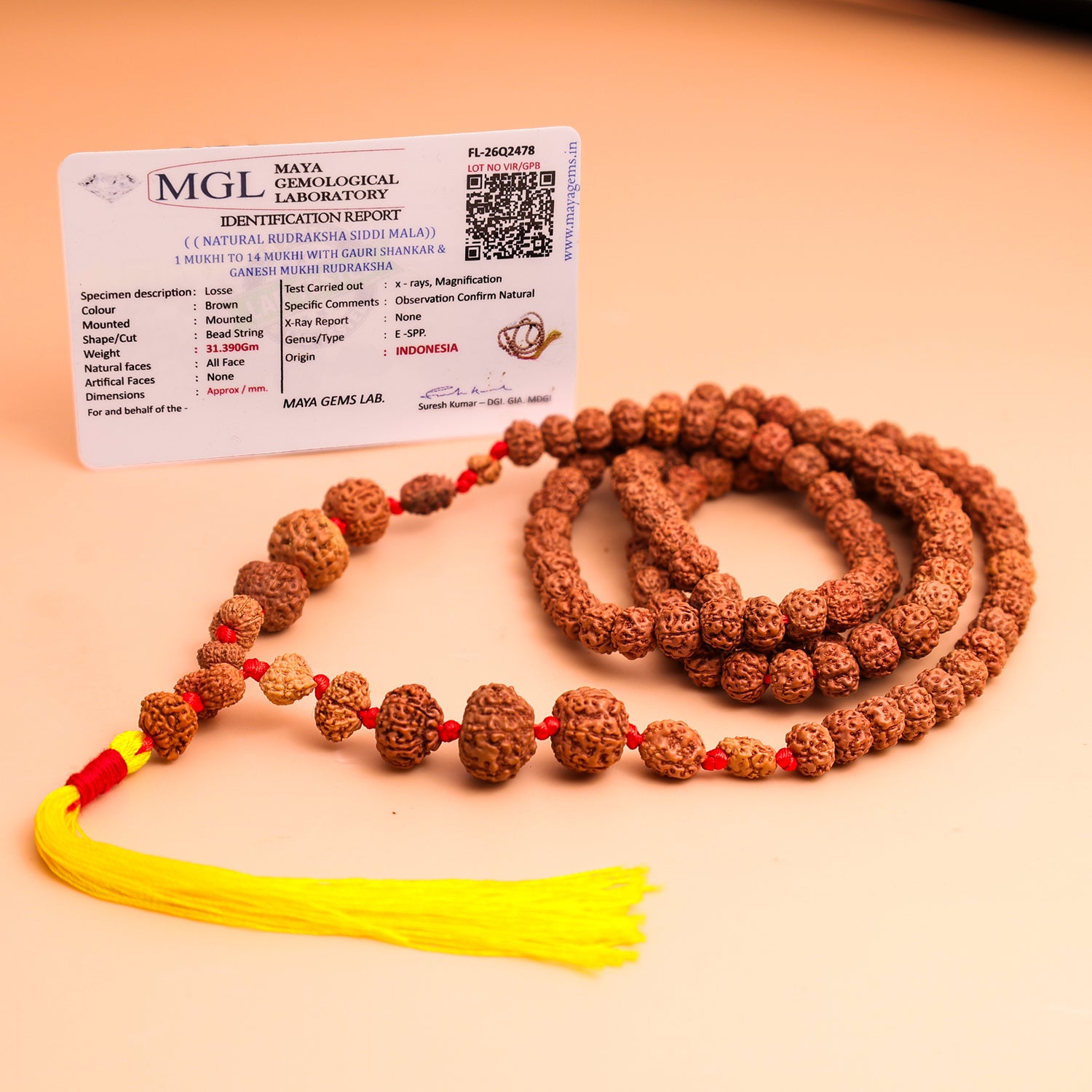 Rudraksha Raksha Mala - Abhimantrit & Certified