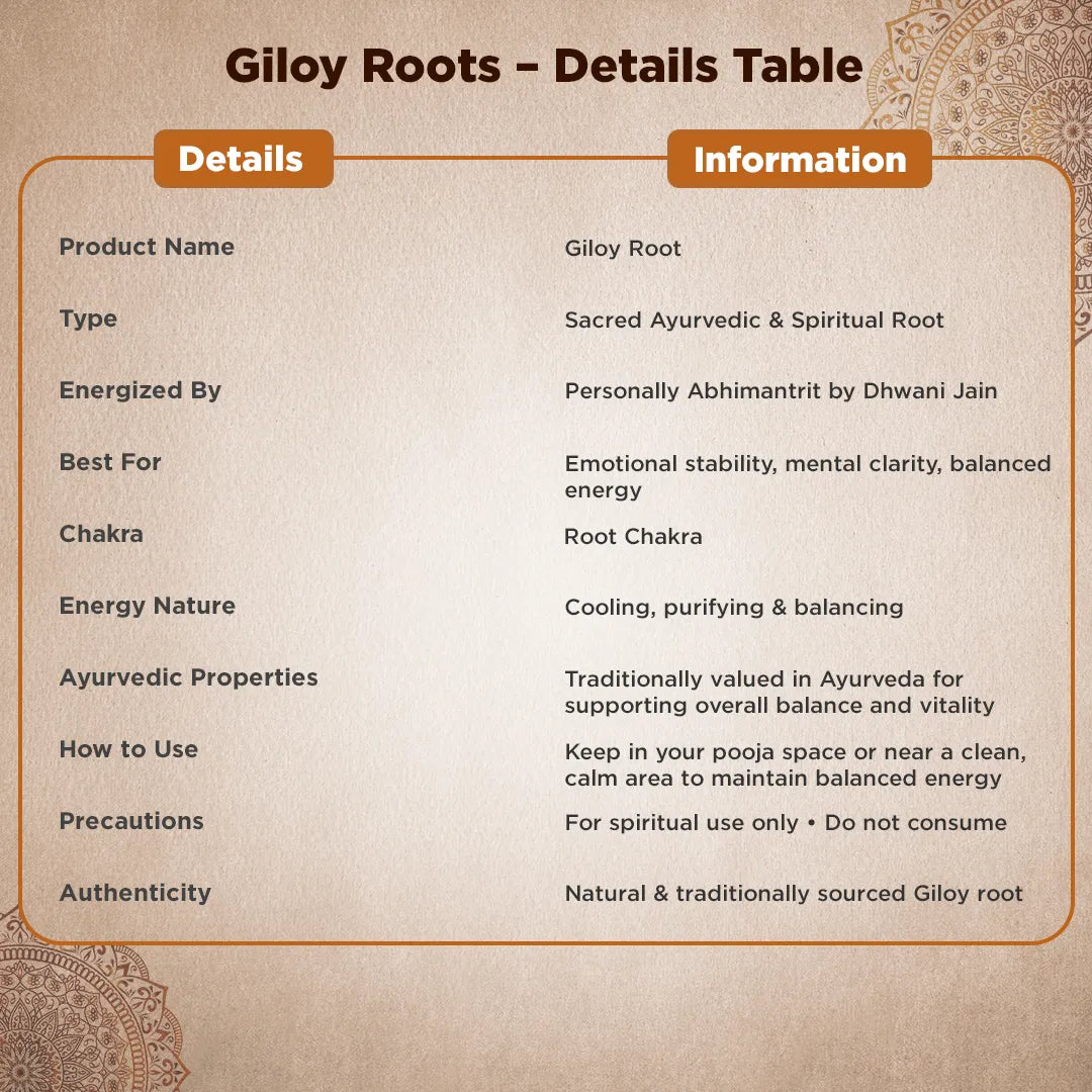 Product details table for Giloy Root on a textured backgroundGiloy Root – Purification, Strength & Spiritual Balance Root