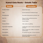 Product details table for Kamal Gata Seed on a textured background