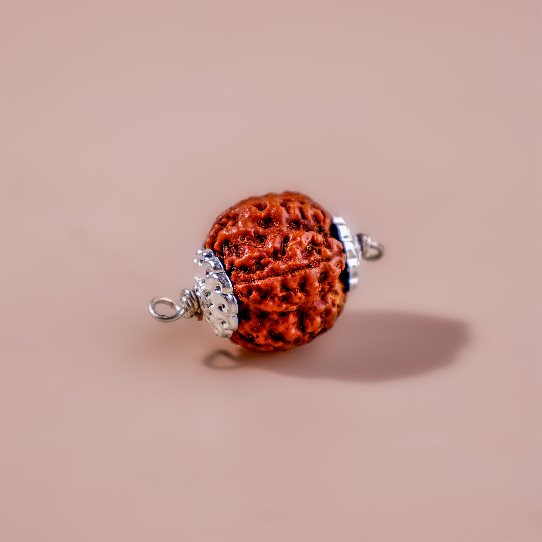 5 Mukhi Rudraksha (Five Faced) - Abhimantrit