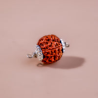 5 Mukhi Rudraksha (Five Faced)