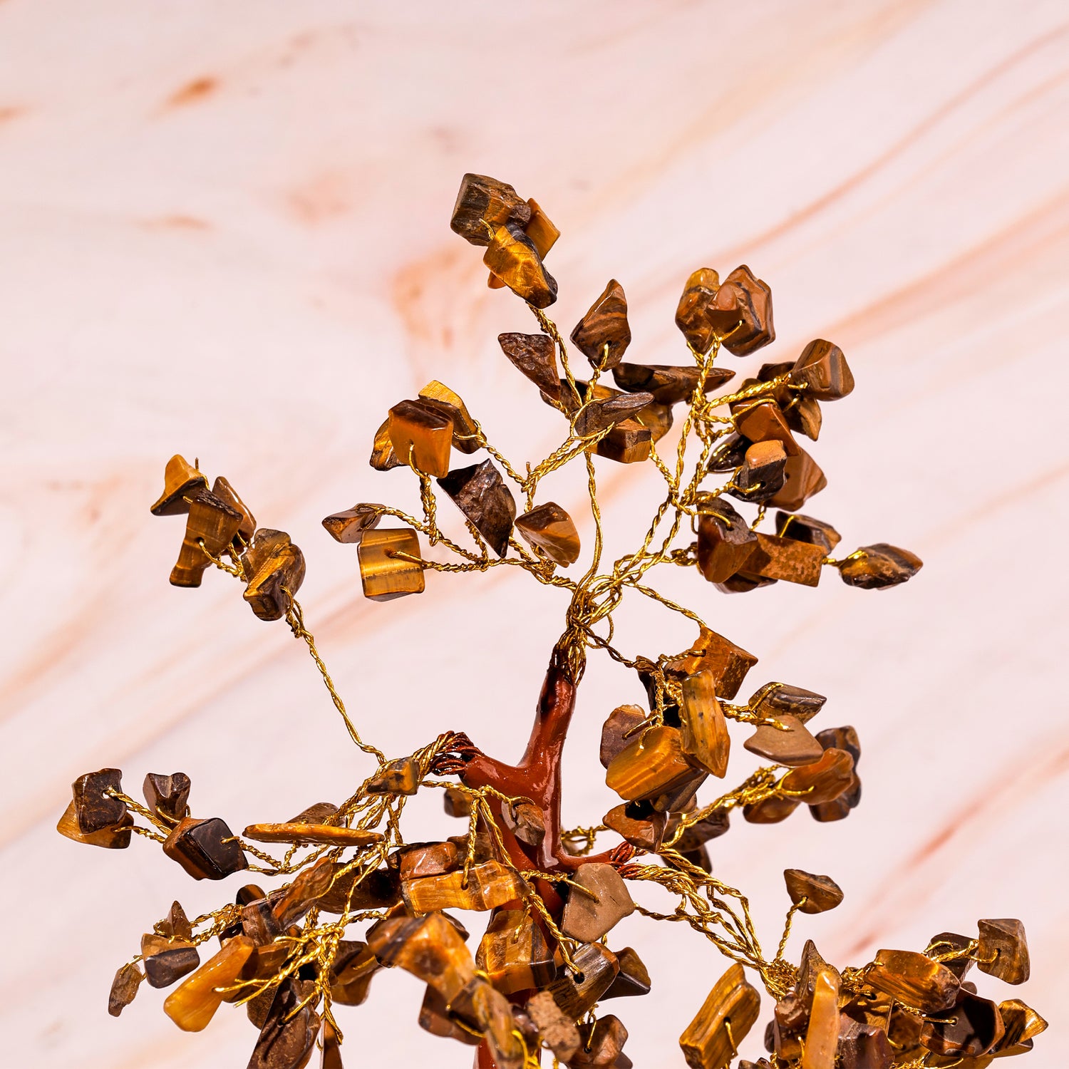Tiger Eye Tree - Abhimantrit