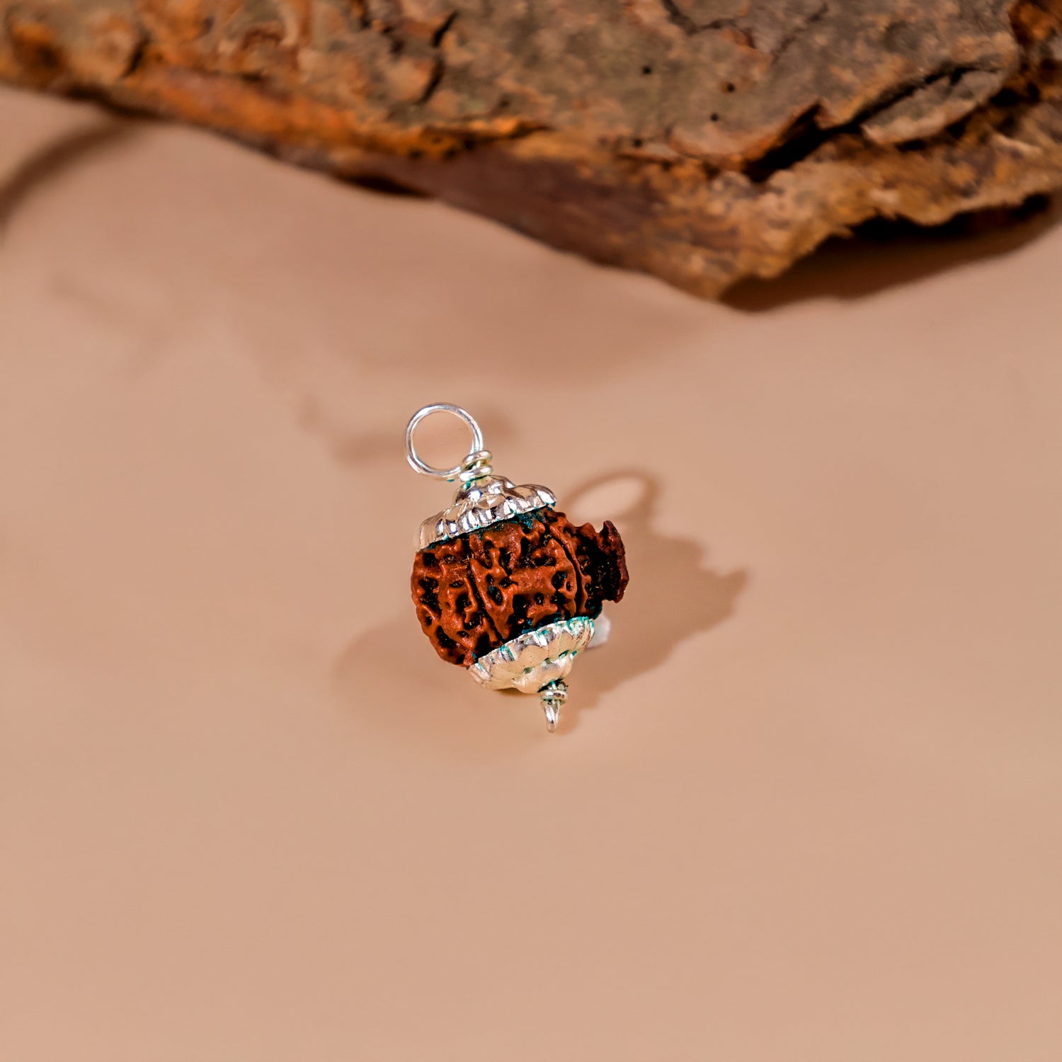 Ganesh Mukhi Rudraksha - Abhimantrit & Certified