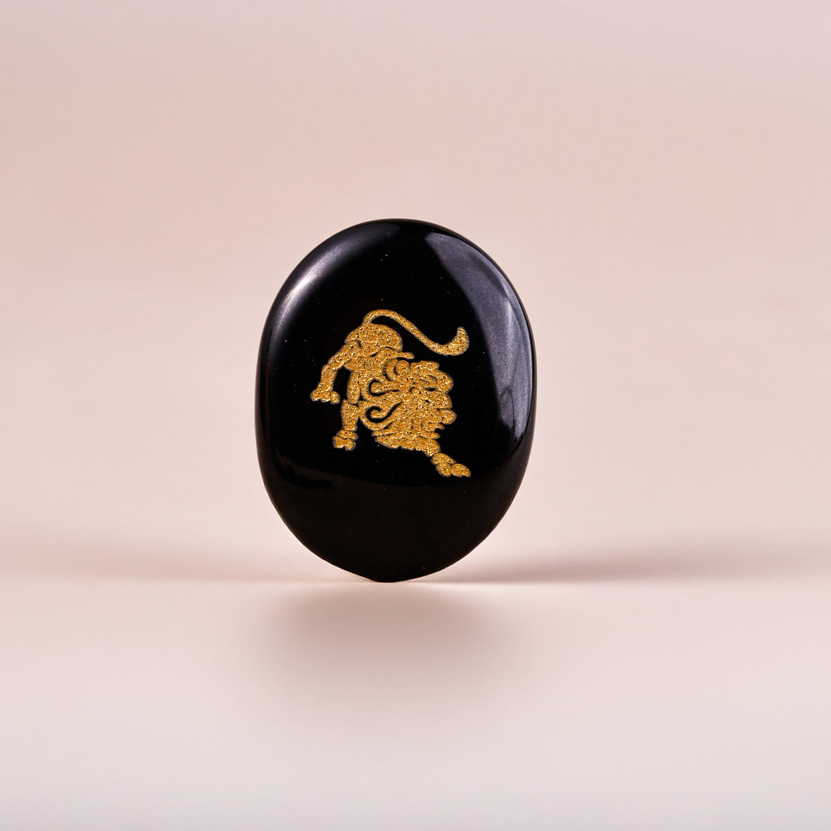 Leo Zodiac Sign Coin