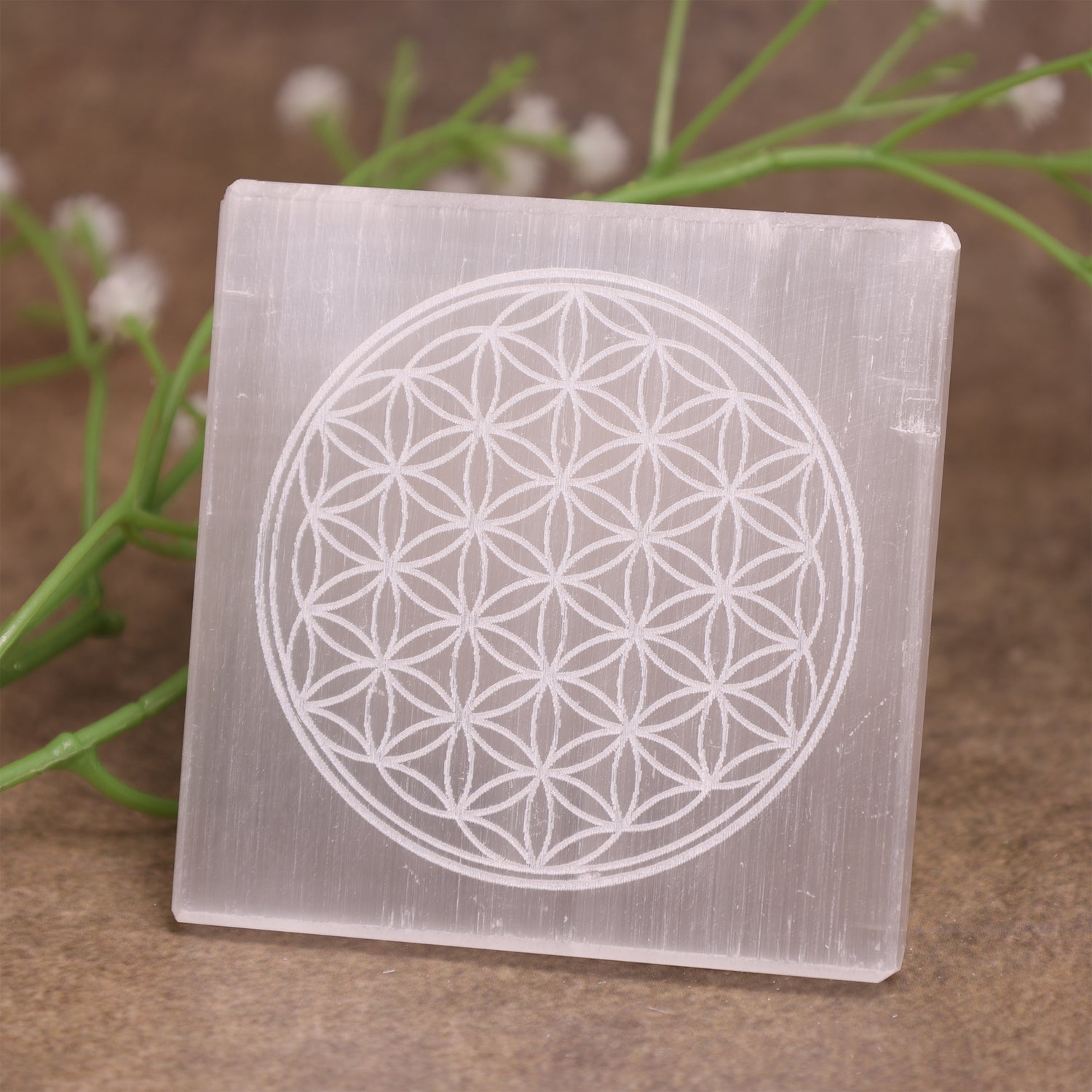Flower of Life Selenite Plate Square - Abhimantrit