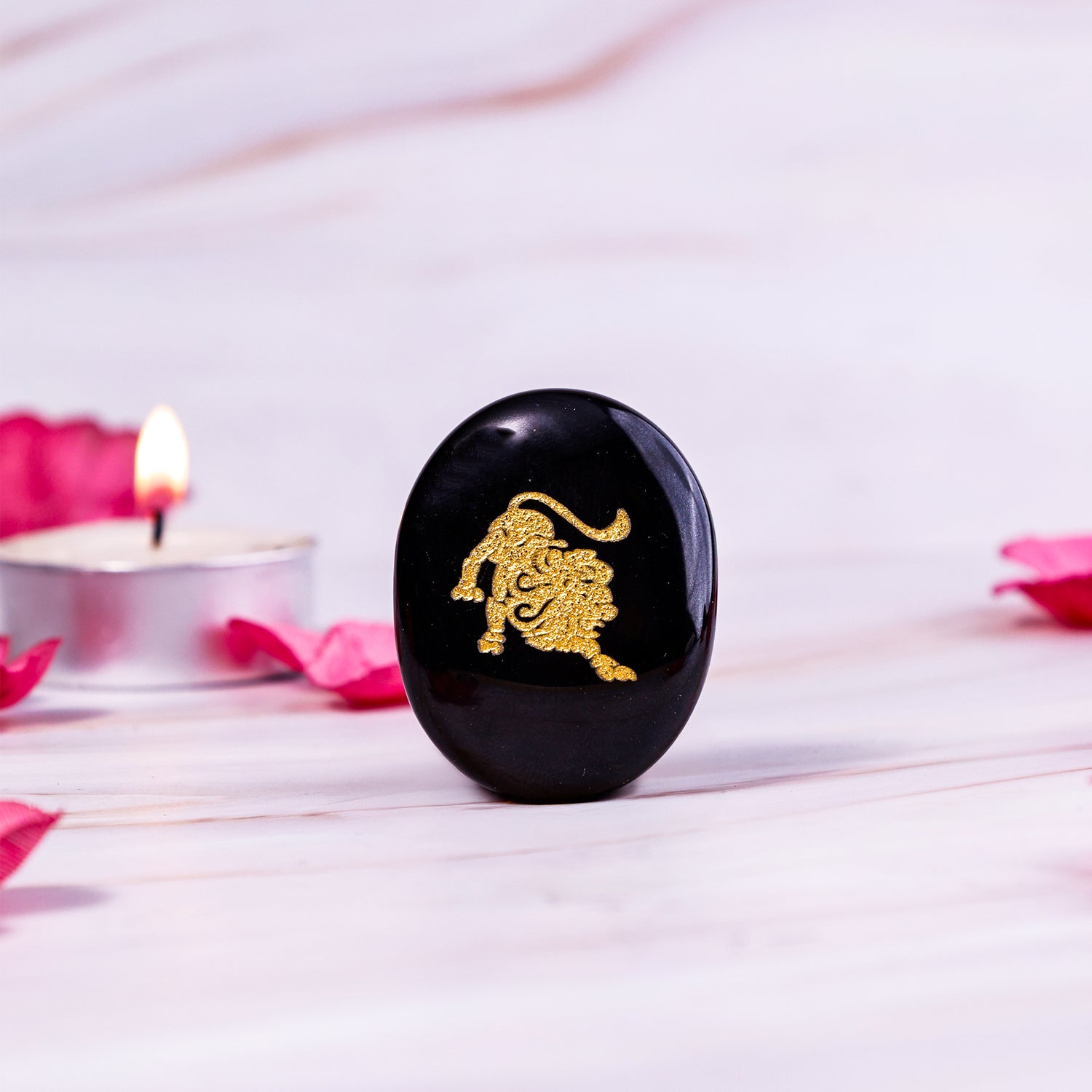 Leo Zodiac Sign Coin