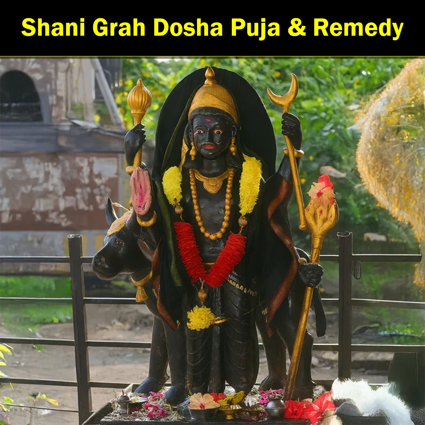 Shani Grah Puja & Remedy:Shani Grah Puja & Remedy For Shani Graha Dosha Shanti, Shani Shanti Puja, Sadhesati Puja