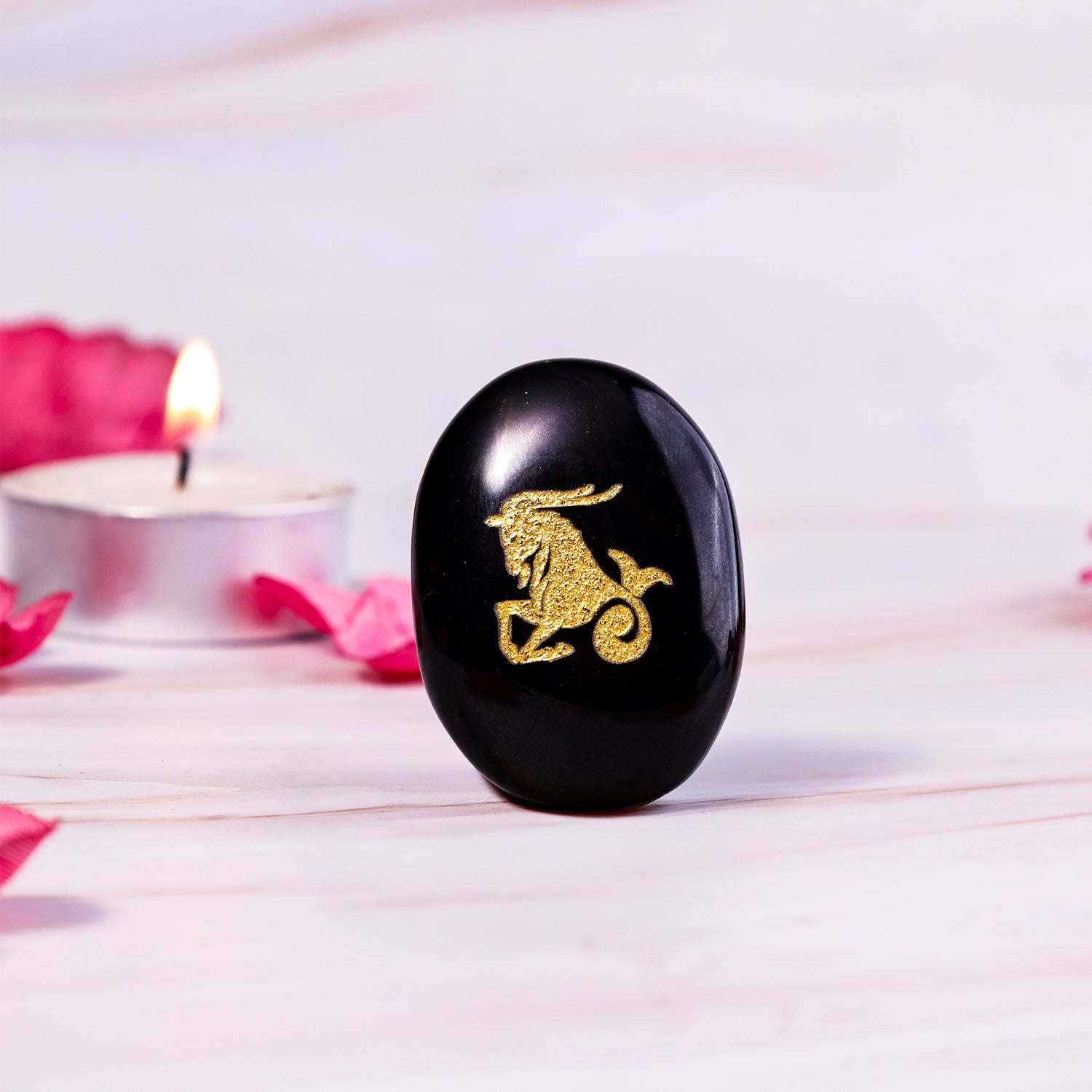 Capricorn Zodiac Sign Coin - Abhimantrit
