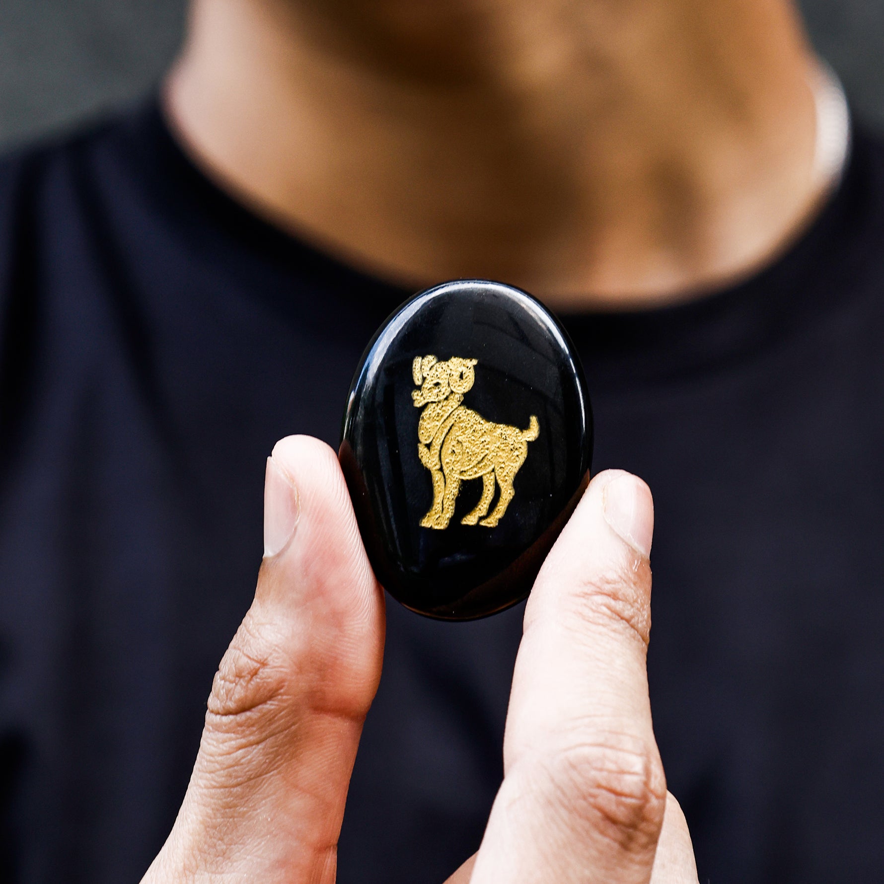 Aries Zodiac Sign Coin - Abhimantrit