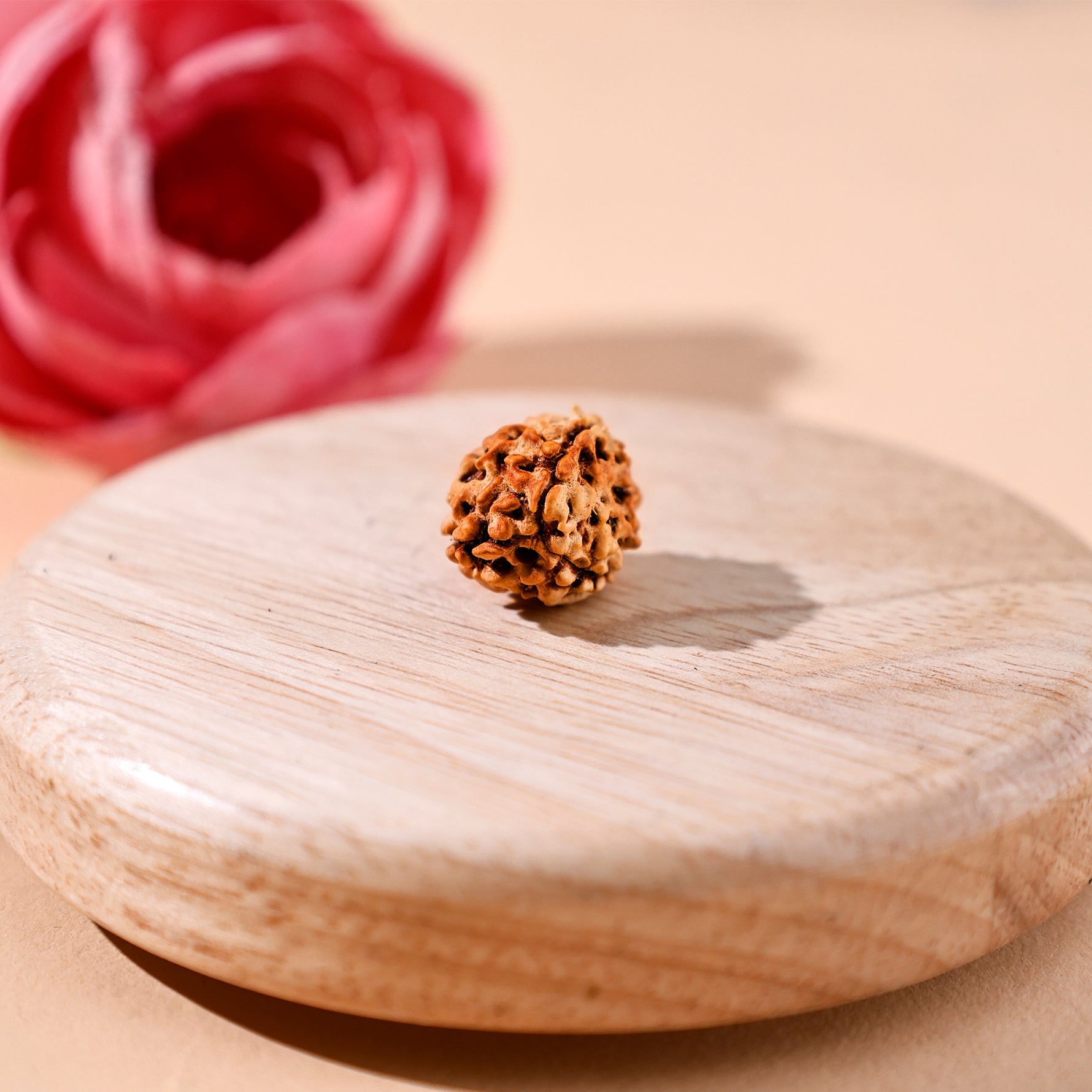 3 Mukhi Rudraksha (Three Faced) - Abhimantrit & Certified