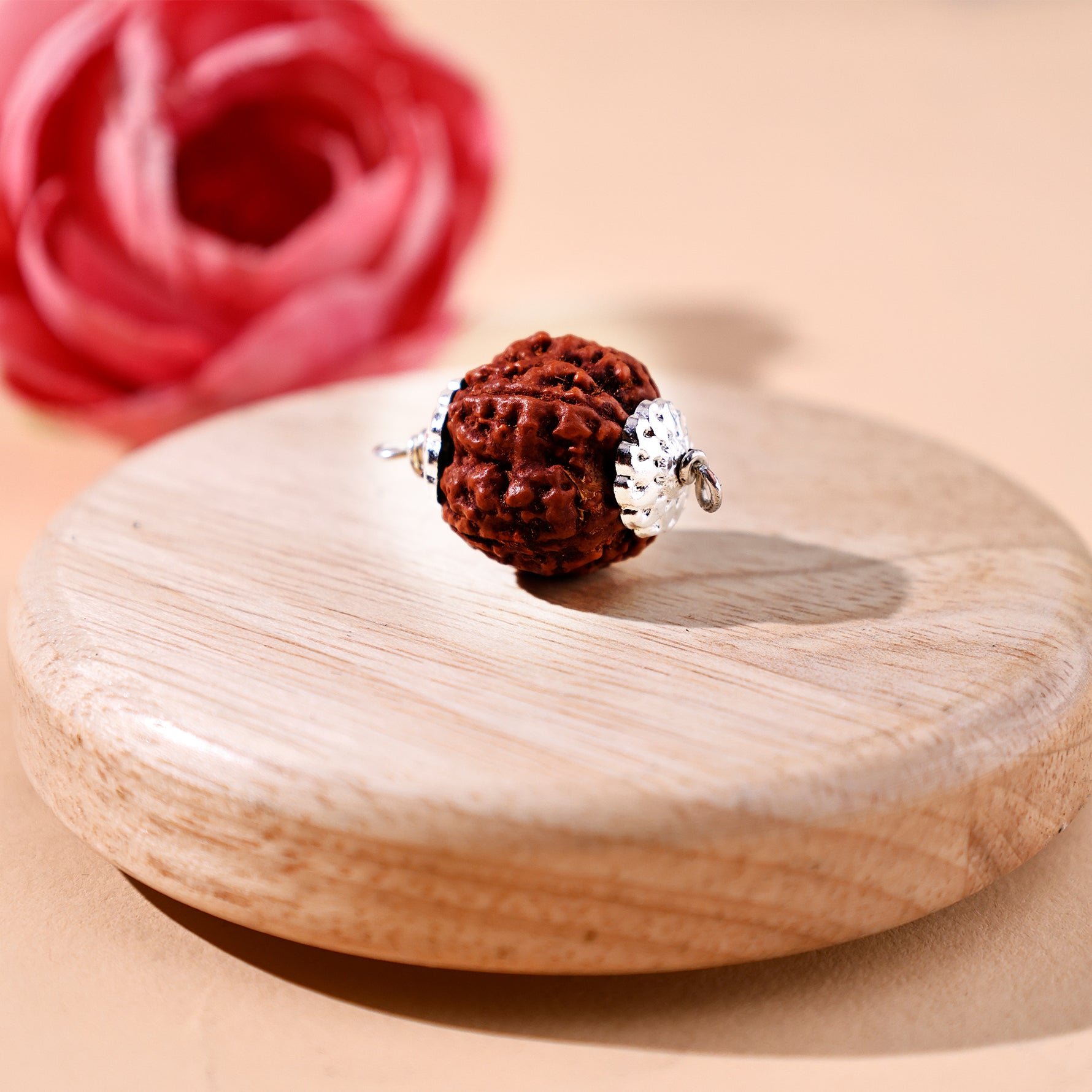 5 Mukhi Rudraksha (Five Faced) - Abhimantrit & Certified