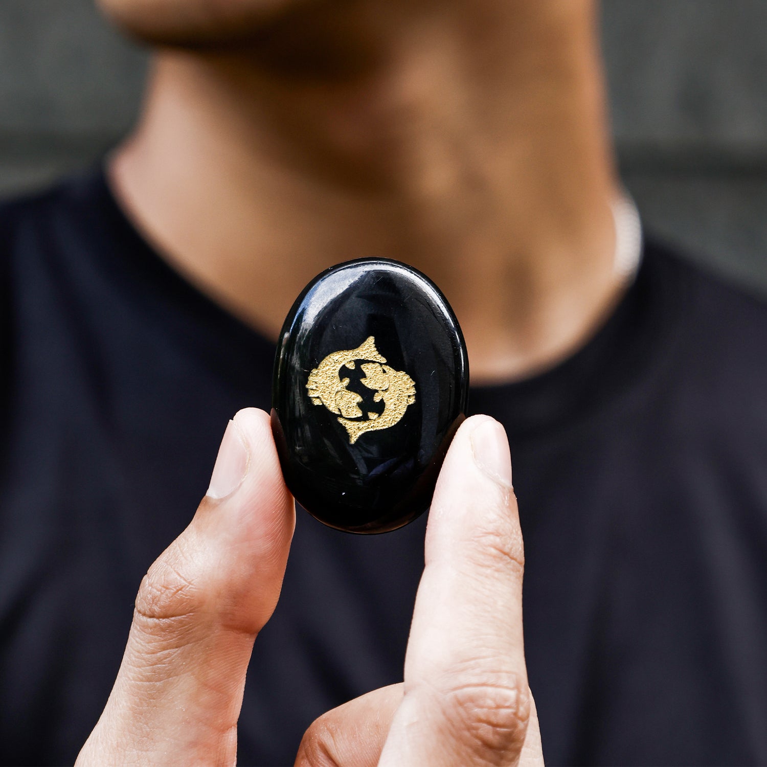 Pisces Zodiac Sign Coin 