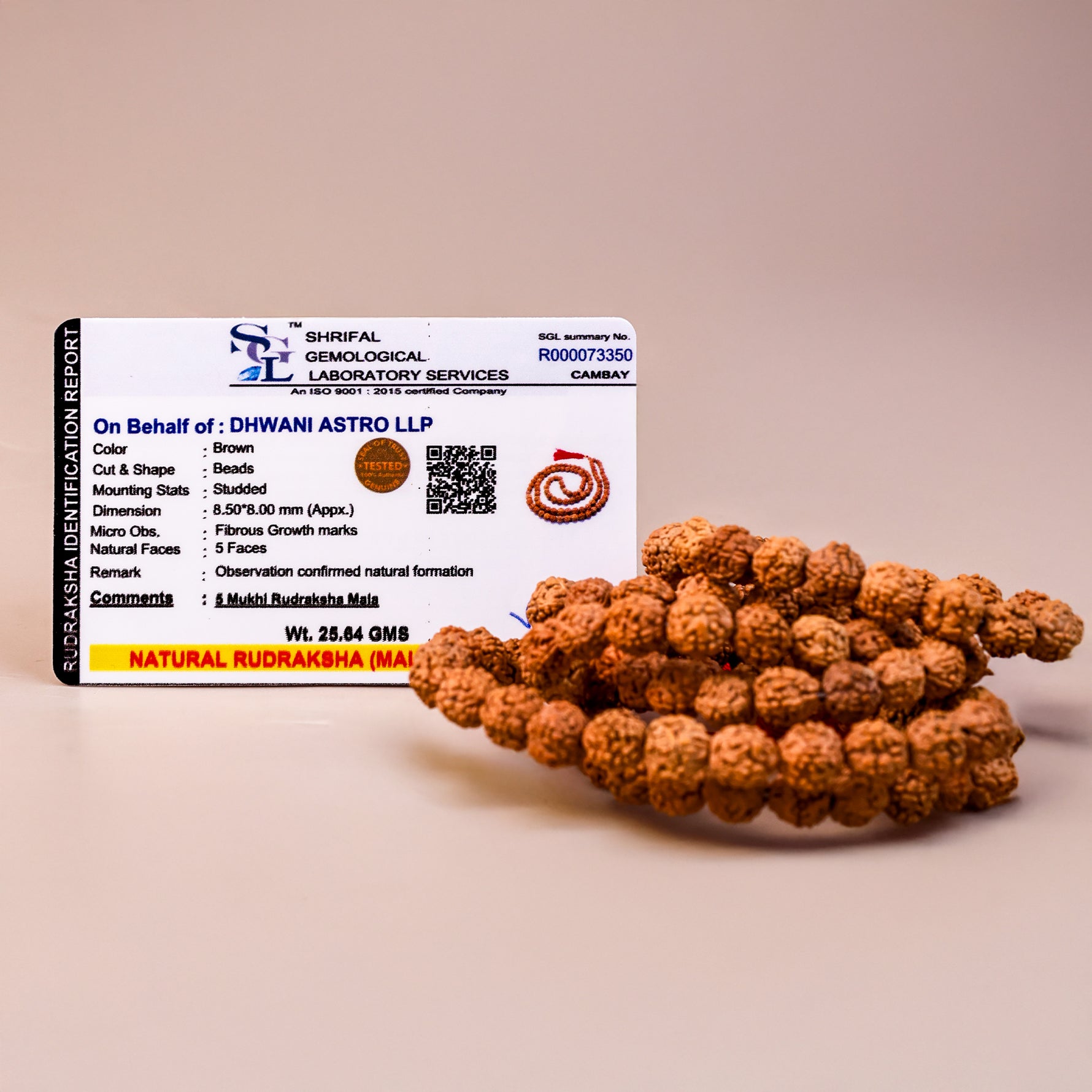 Rudraksha Mala - Abhimantrit & Certified