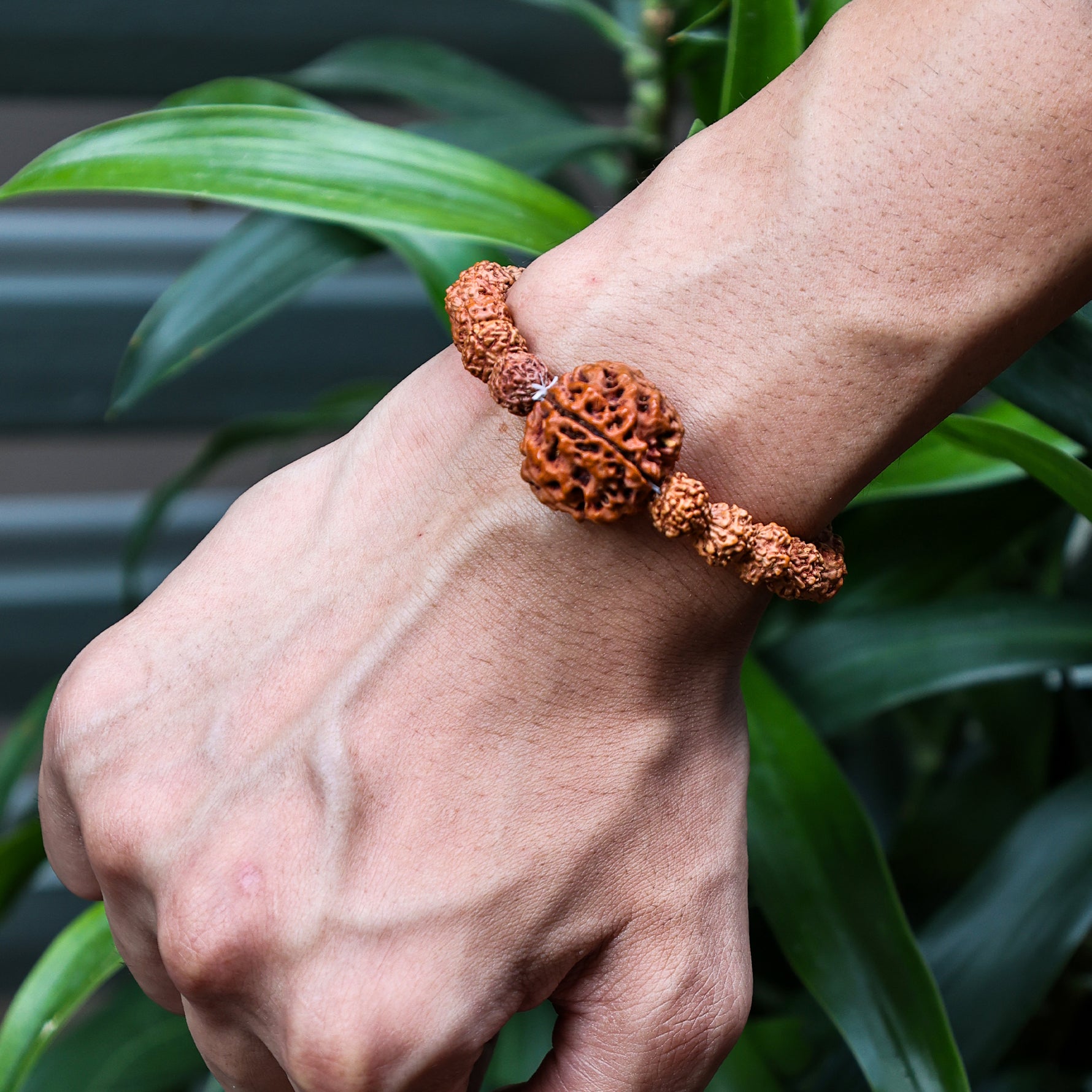 5 Mukhi Rudraksha Bracelet (Five Faced) - Abhimantrit & Certified