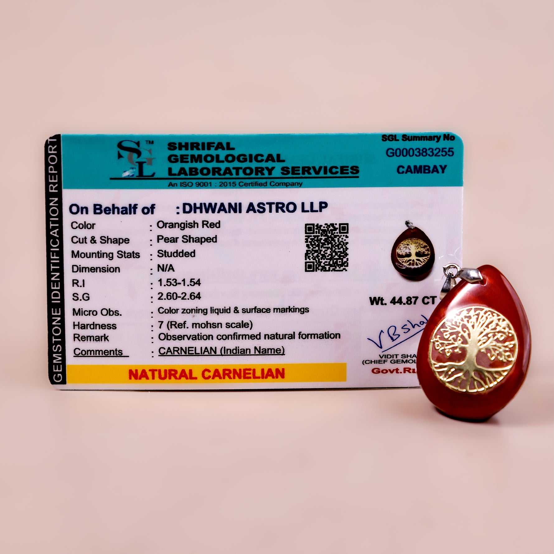 Carnelian Life of Tree Pendant - Abhimantrit & Certified