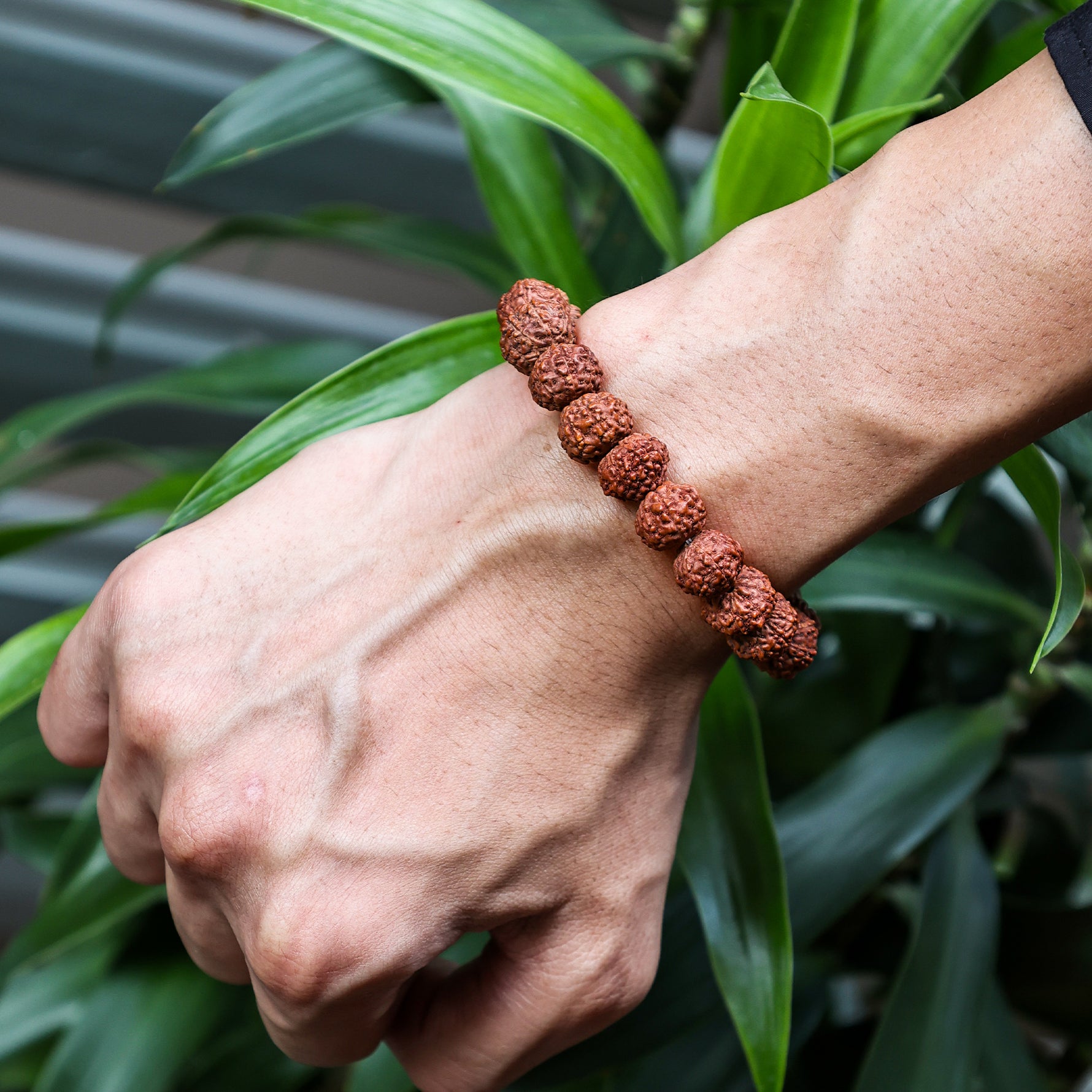 7 Mukhi Rudraksha Bracelet (Seven Faced) - Abhimantrit & Certified