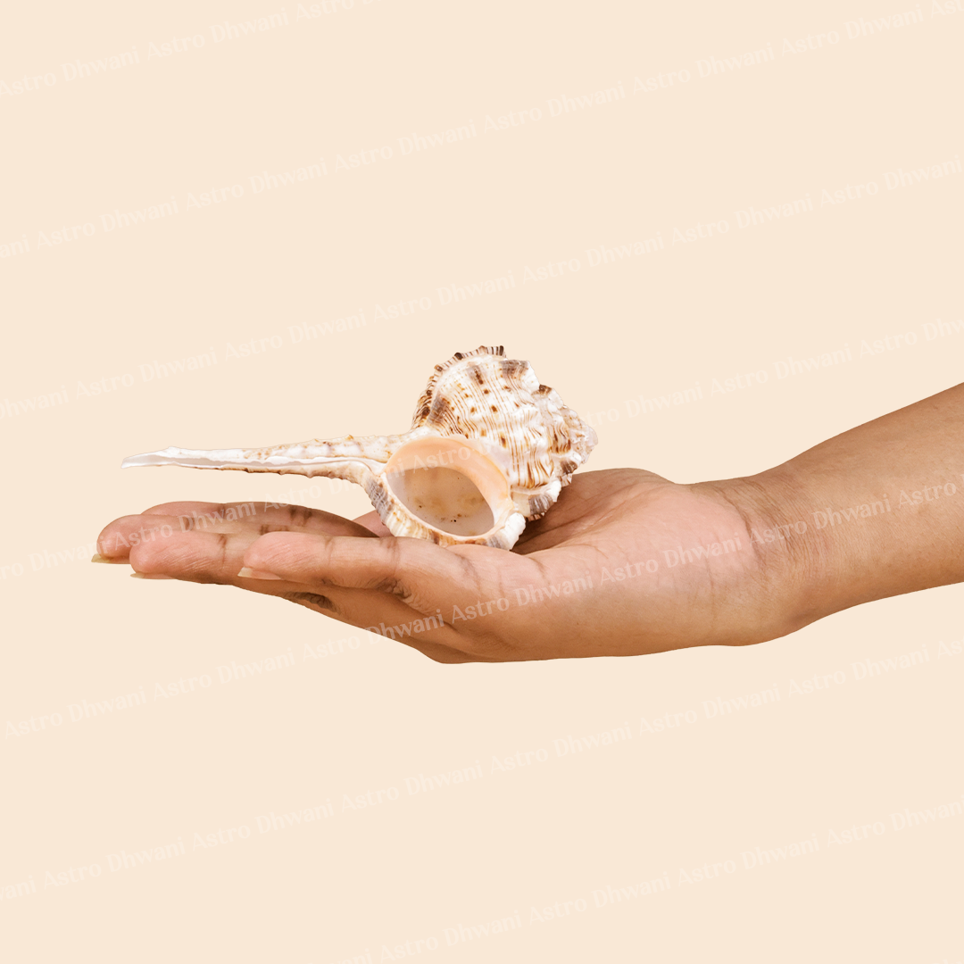 Vishnu Shankh For Peace Prosperity Sacred Puja Rituals