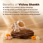 Vishnu Shankh with benefits listed on a beige background