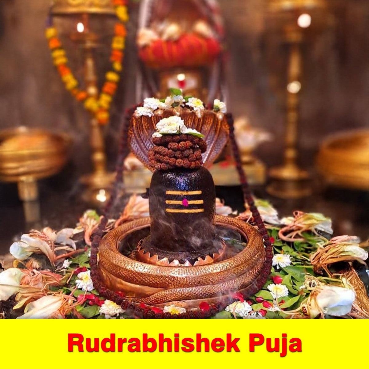 Rudra Abhishek Puja Yajna To Invoke Lord Shiva s Divine Blessings | Peace Protection Removal Of Negativity