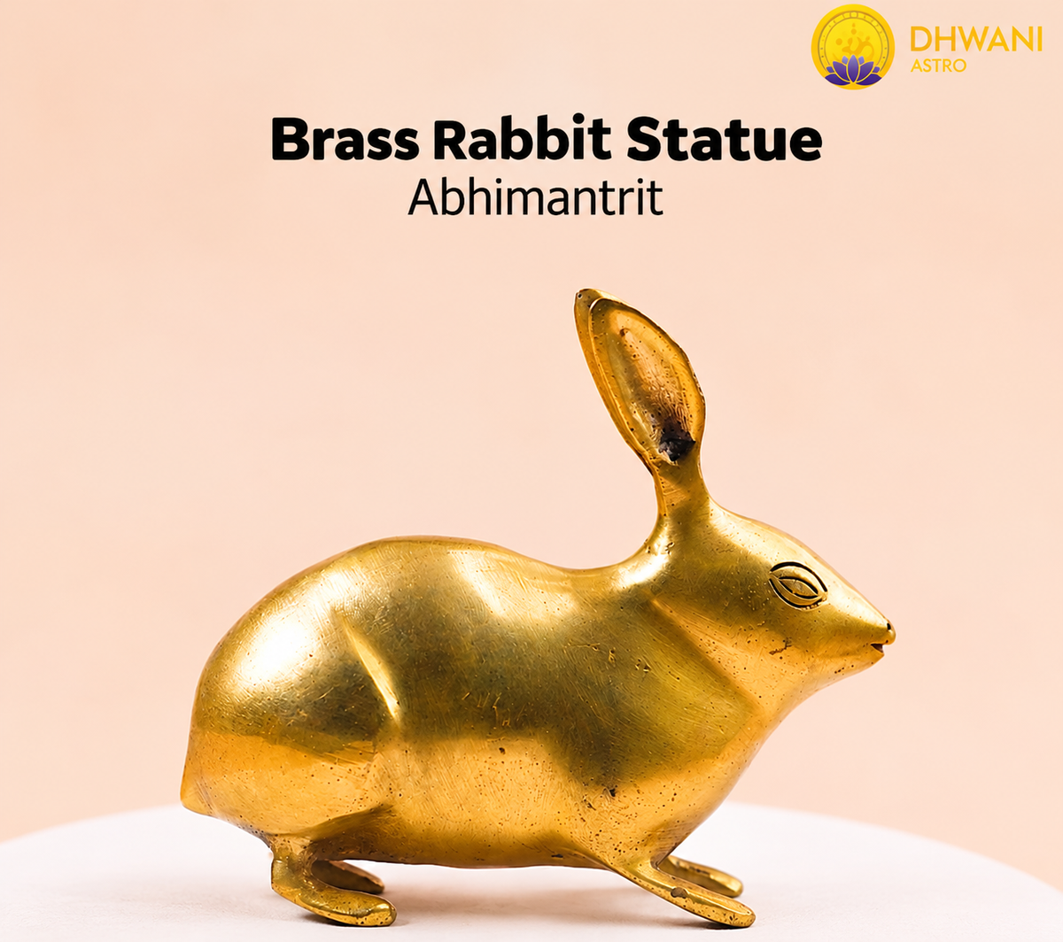 Brass Rabbit Statue - Abhimantrit