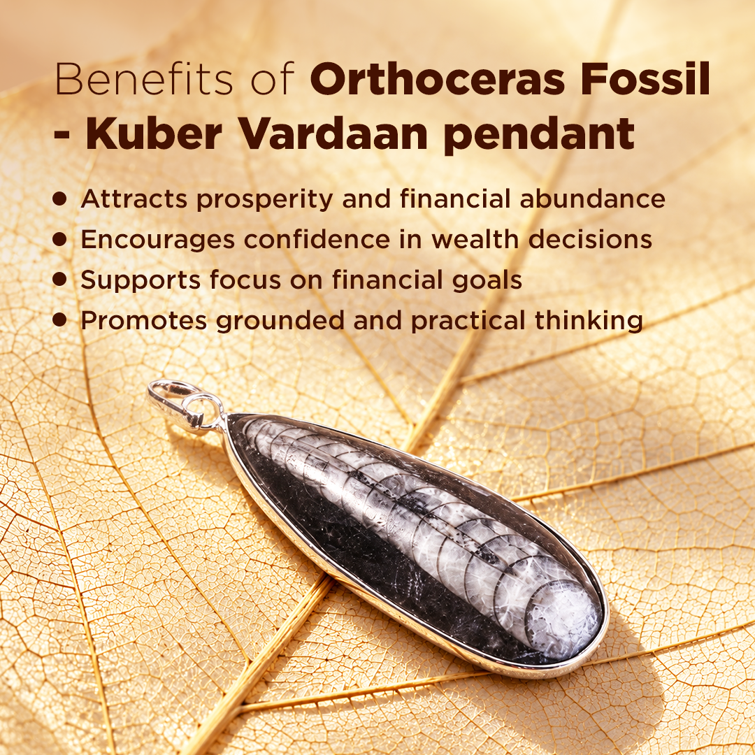 Orthoceras Fassi Kuber Vardaan Pendant Product Description