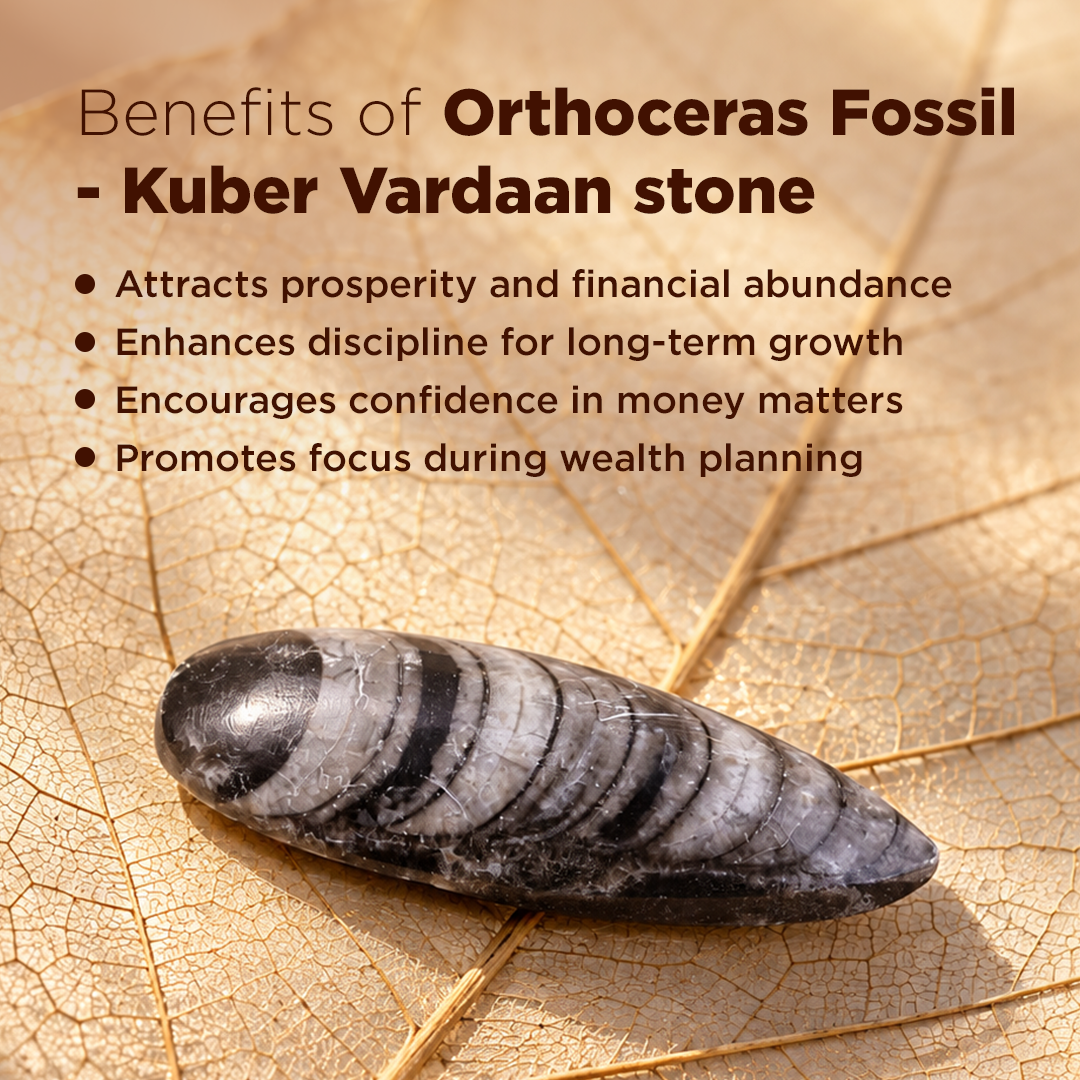 Orthoceras Fossil – Kuber Vardaan Stone