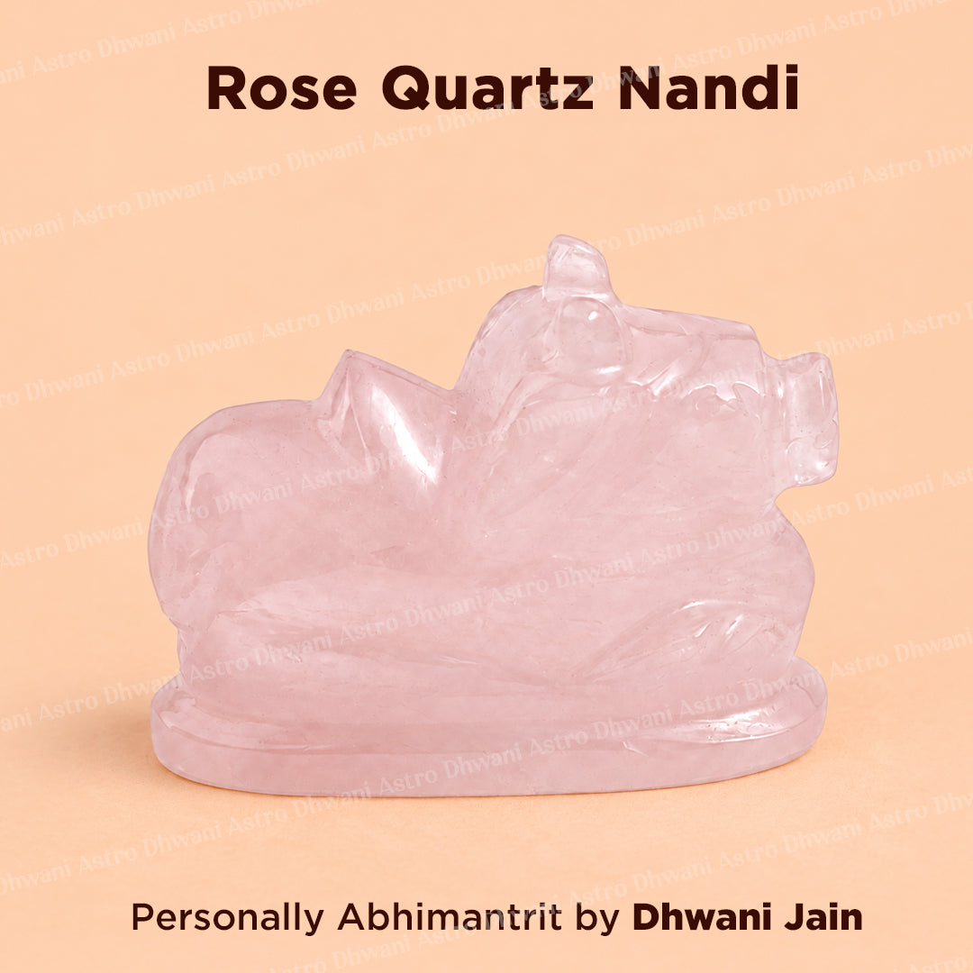 Rose Quartz Nandi - Abhimantrit