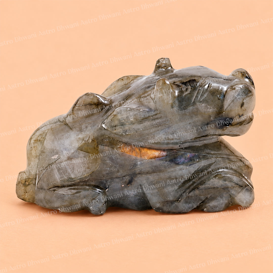 Labradorite Nandi - Abhimantrit